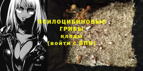 твердый Алзамай