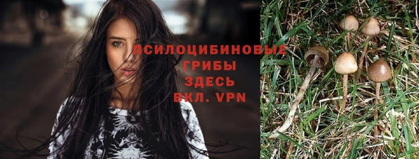 амф Алексин