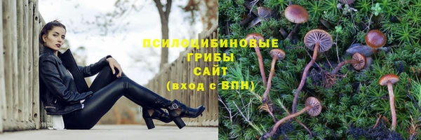 твердый Алзамай