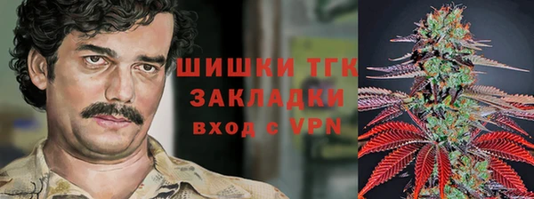 твердый Алзамай