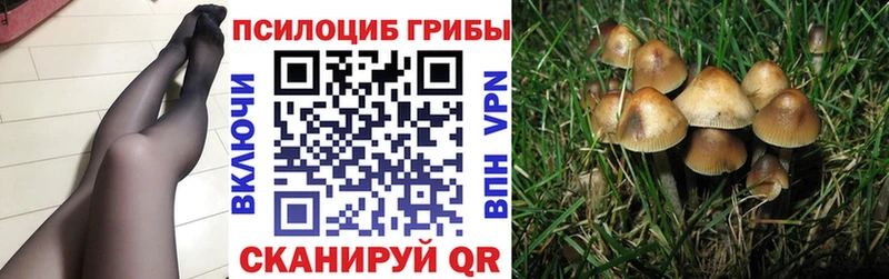 Галлюциногенные грибы Magic Shrooms  darknet формула  Алушта 